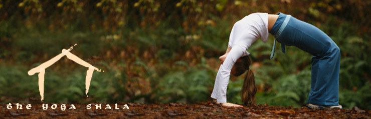 Latest News and Updates for The Yoga Shala Singapore